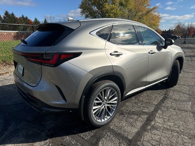 2025 Lexus NX 350 Premium