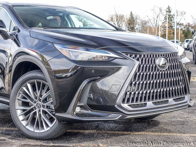 2025 Lexus NX 350 Premium