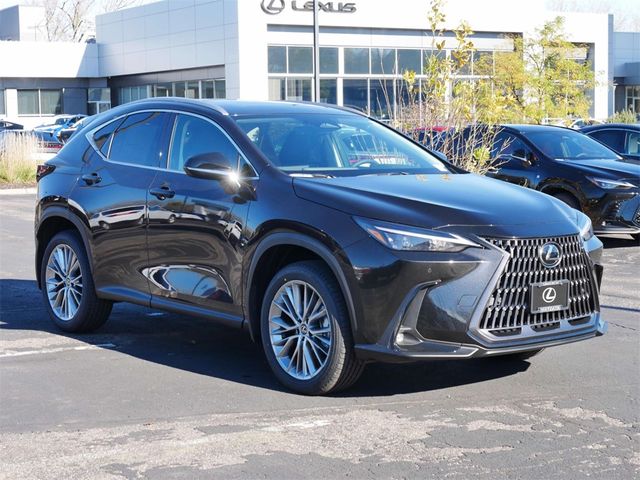 2025 Lexus NX 350 Premium