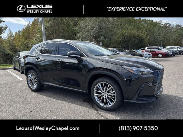 2025 Lexus NX 350 Premium