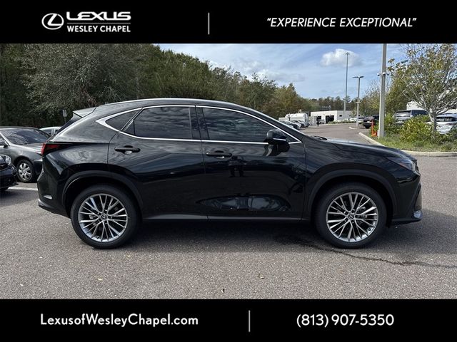 2025 Lexus NX 350 Premium