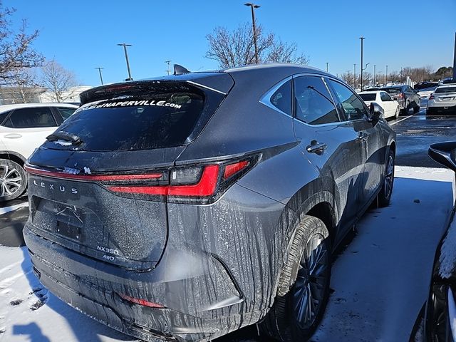 2025 Lexus NX 350 Premium