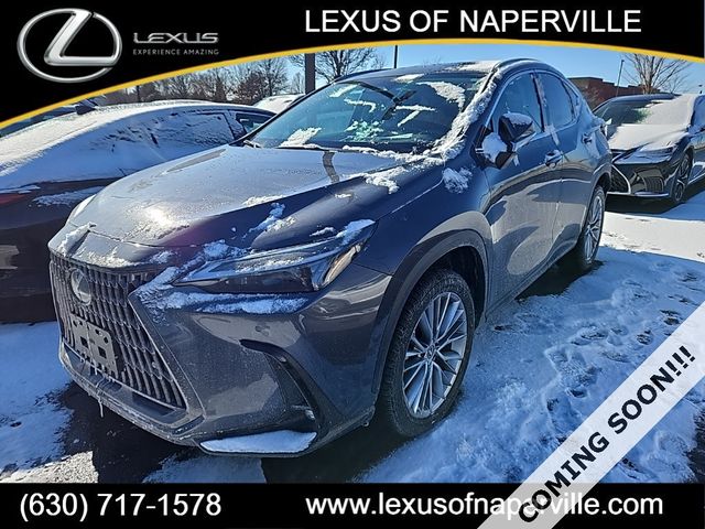 2025 Lexus NX 350 Premium