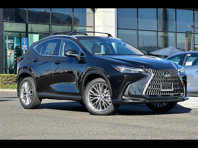 2025 Lexus NX 350 Premium