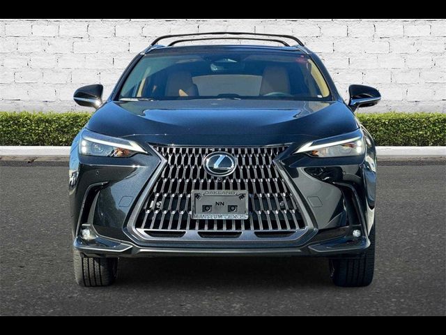 2025 Lexus NX 350 Premium