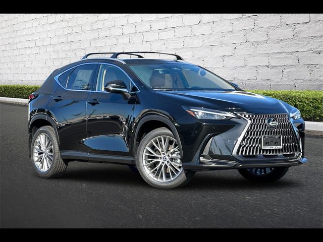 2025 Lexus NX 350 Premium