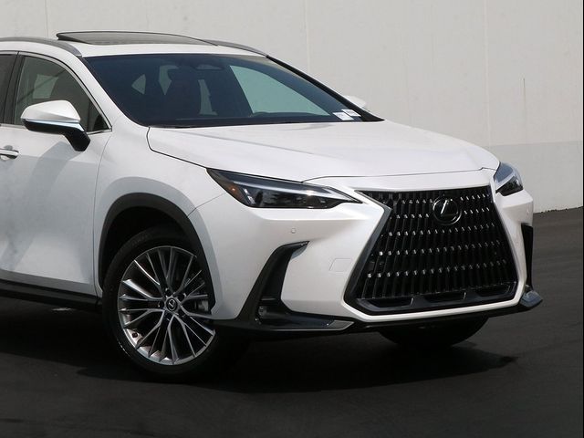 2025 Lexus NX 350 Premium