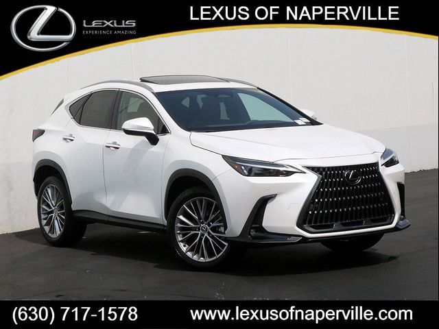 2025 Lexus NX 350 Premium