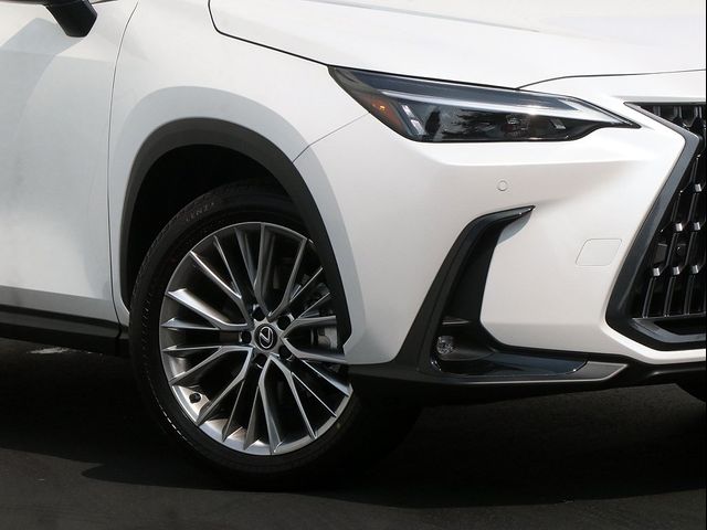 2025 Lexus NX 350 Premium