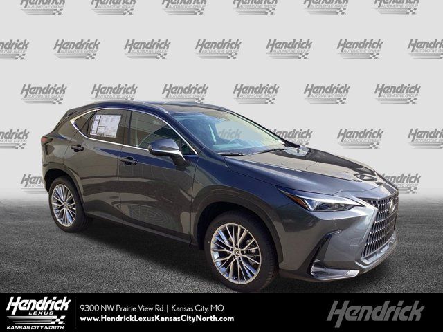 2025 Lexus NX 350 Premium