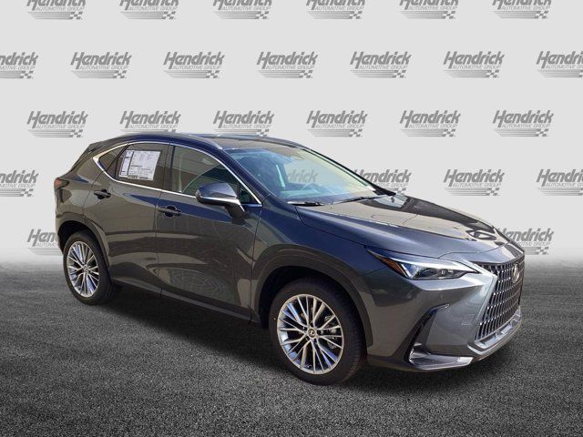 2025 Lexus NX 350 Premium