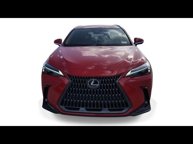 2025 Lexus NX 350 Premium