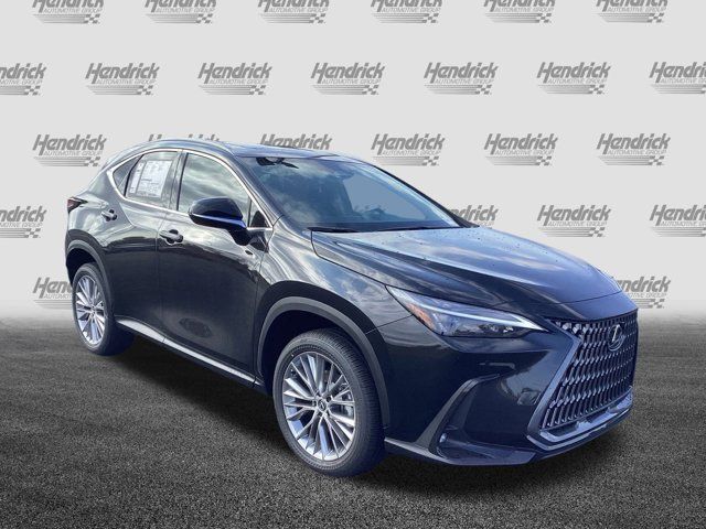 2025 Lexus NX 350 Premium