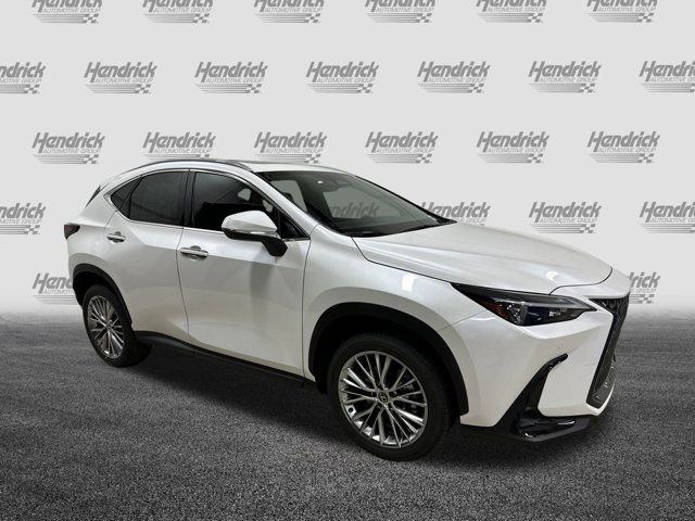 2025 Lexus NX 350 Premium