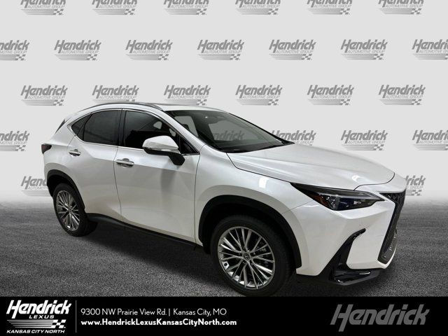 2025 Lexus NX 350 Premium