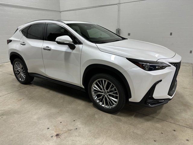 2025 Lexus NX 350 Premium