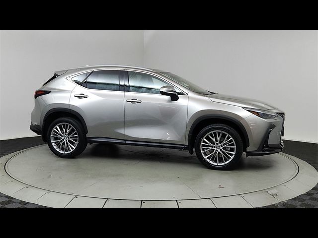 2025 Lexus NX 350 Premium