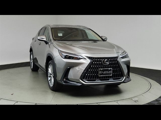 2025 Lexus NX 350 Premium