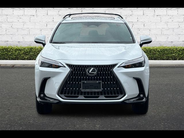 2025 Lexus NX 350 Premium