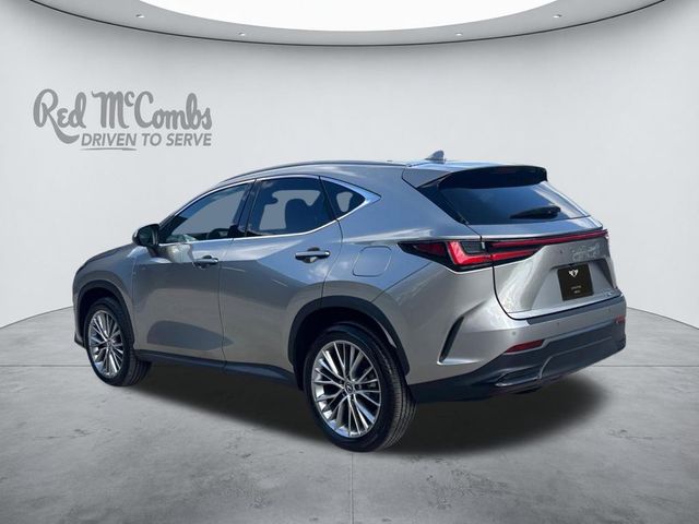 2025 Lexus NX 350 Premium