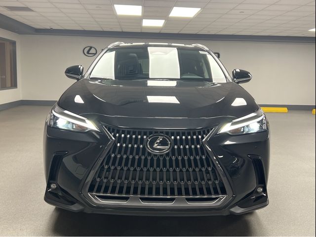 2025 Lexus NX 350 Premium