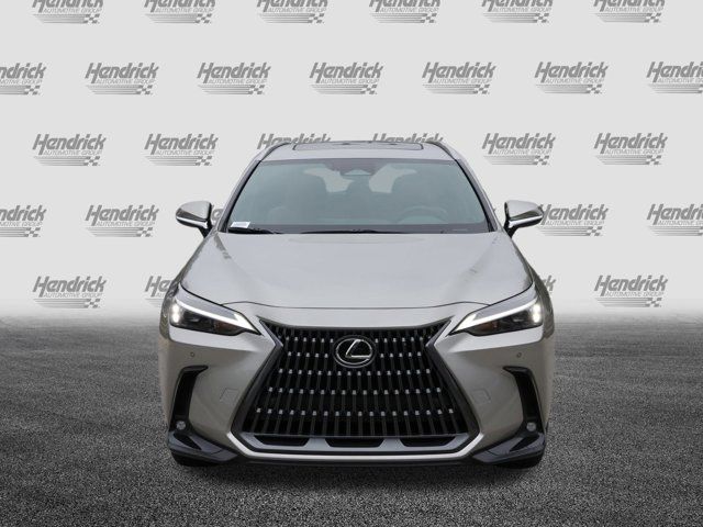 2025 Lexus NX 350 Premium