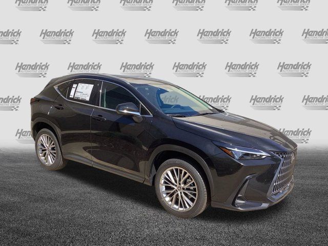 2025 Lexus NX 350 Premium