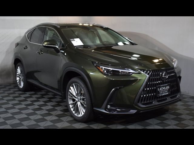 2025 Lexus NX 350 Premium