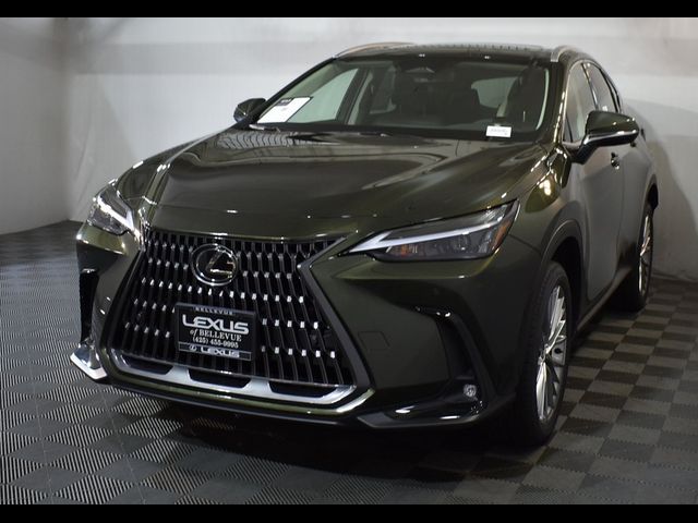 2025 Lexus NX 350 Premium