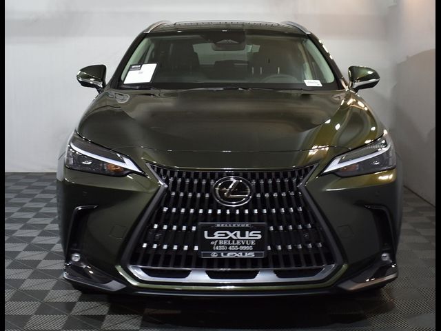 2025 Lexus NX 350 Premium