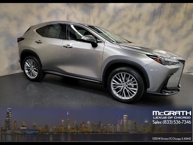 2025 Lexus NX 350 Premium