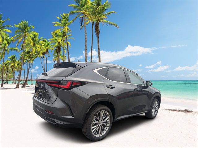 2025 Lexus NX 350 Premium