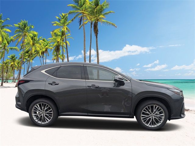 2025 Lexus NX 350 Premium