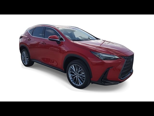 2025 Lexus NX 350 Premium