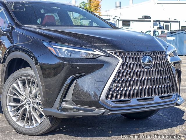 2025 Lexus NX 350 Premium