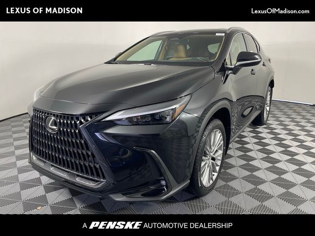 2025 Lexus NX 350 Premium