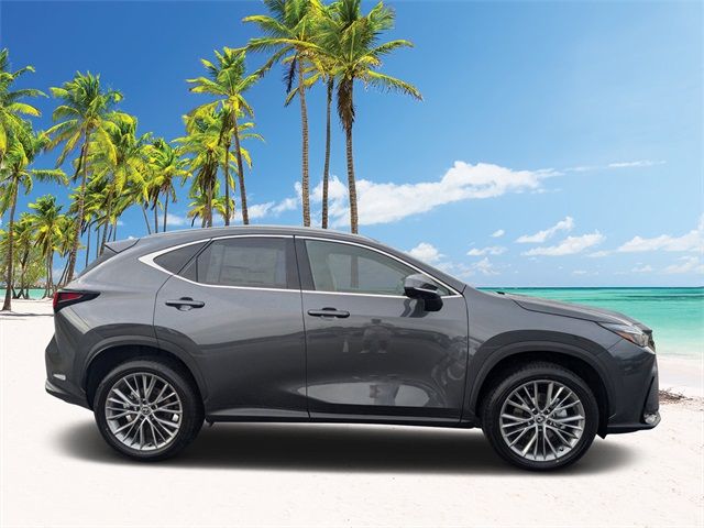 2025 Lexus NX 350 Premium