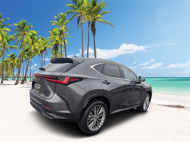 2025 Lexus NX 350 Premium