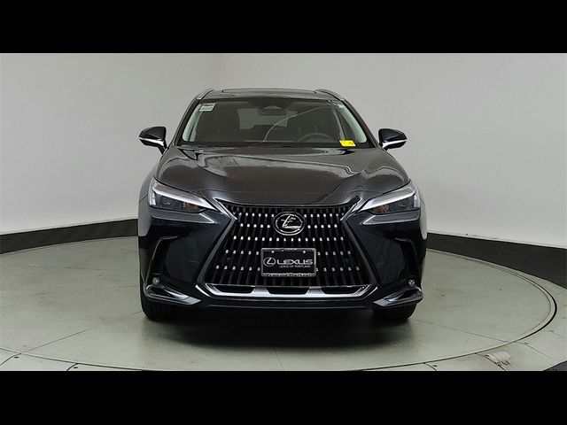 2025 Lexus NX 350 Premium