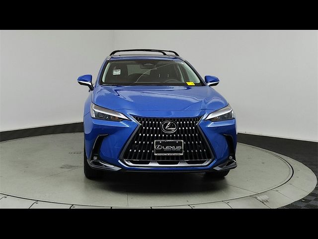 2025 Lexus NX 350 Premium