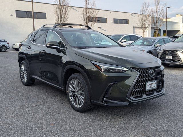 2025 Lexus NX 350 Premium