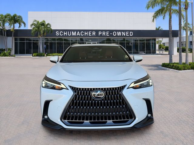 2025 Lexus NX 350 Premium