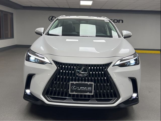 2025 Lexus NX 350