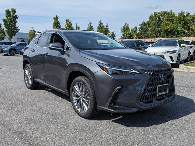 2025 Lexus NX 350 Premium