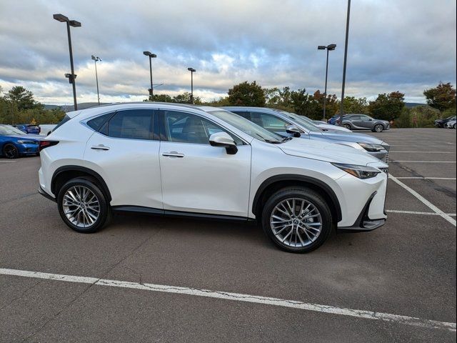 2025 Lexus NX 350 Premium