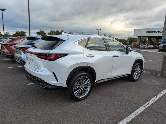 2025 Lexus NX 350 Premium