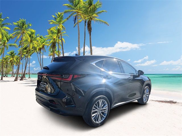 2025 Lexus NX 350 Premium