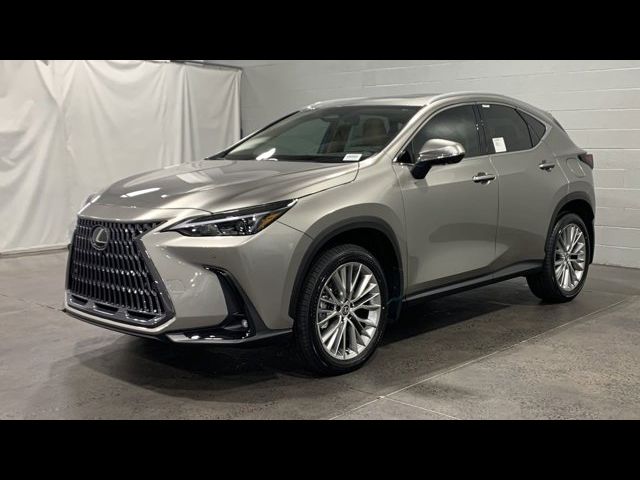 2025 Lexus NX 350 Premium