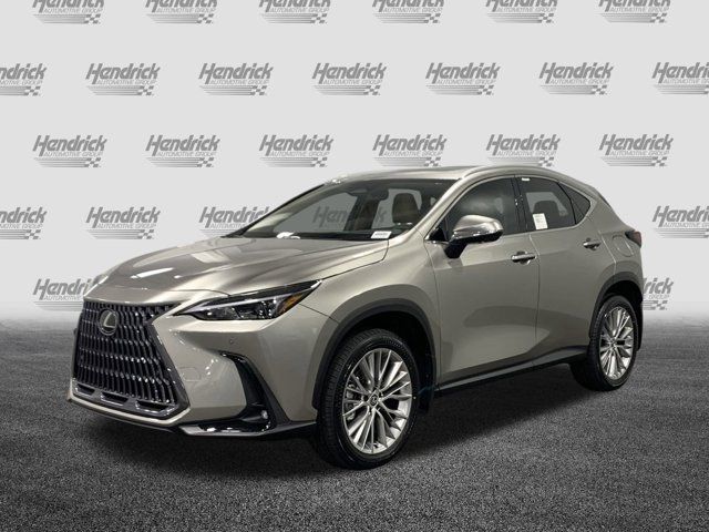 2025 Lexus NX 350 Premium