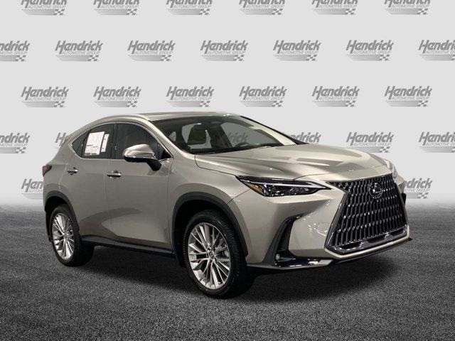 2025 Lexus NX 350 Premium